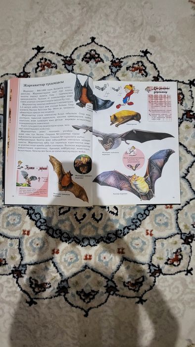 Книга, Энциклопедия