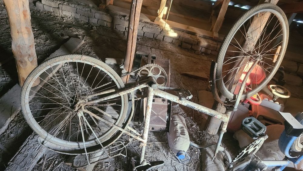 Velosiped rassiyaniki