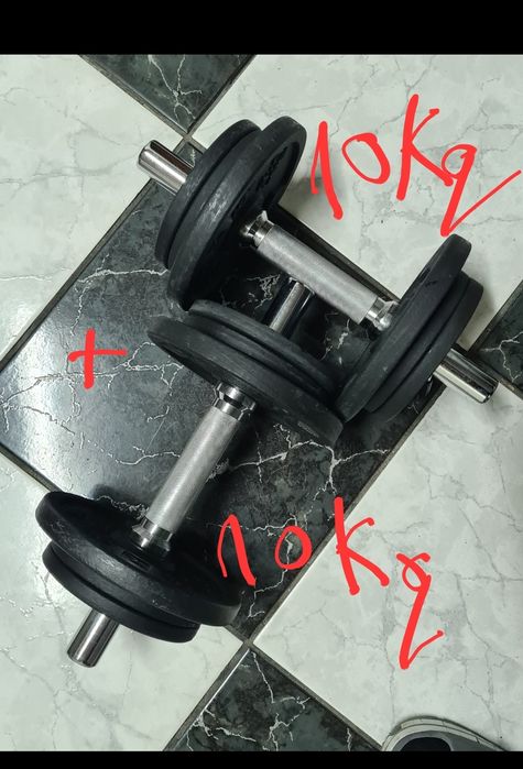 gantere 10,  bară dreaptă, discuri