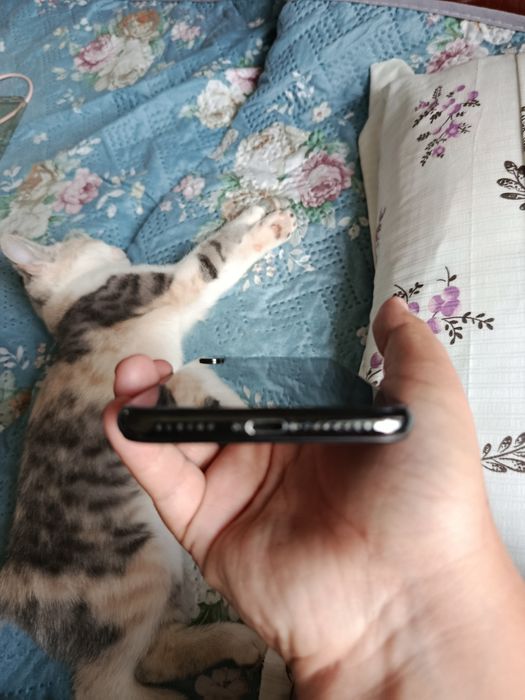 Iphone X идеал сос