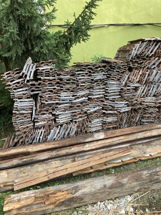 Țiglă Leu Jimbolia