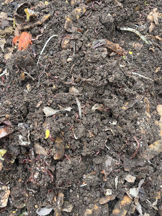 Продаю биогумс собственного производства