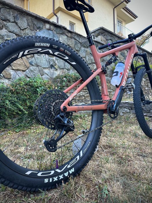 Specialized Epic Evo L