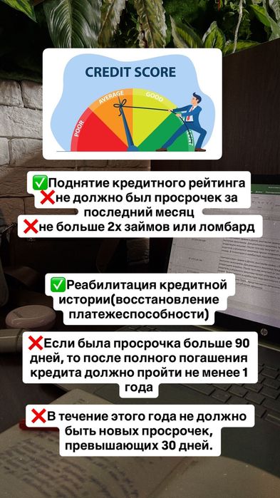 Медиатор ,помощь в оформлении