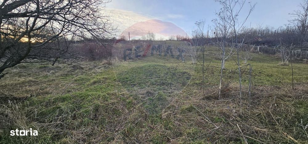 Teren 2.500mp, sat Odobești, com. Odobești, jud. Bacău - Vedere 4