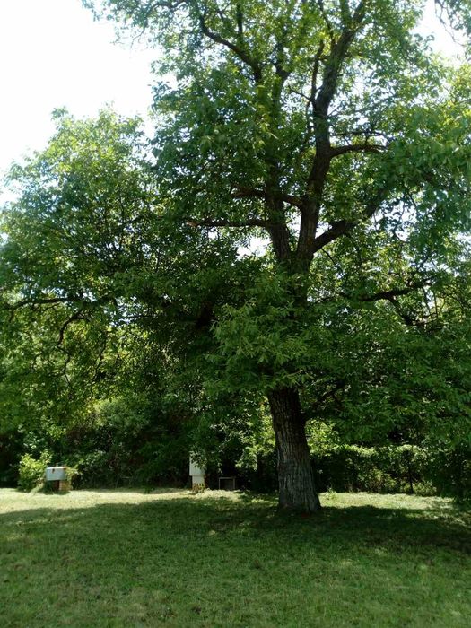 Продава се Парцел в Брезник - 450 кв.м за 34 €/кв.м - Снимка #2