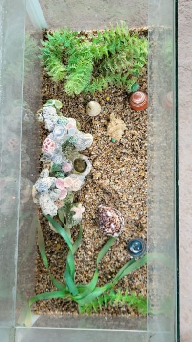 аквариум для рыбы