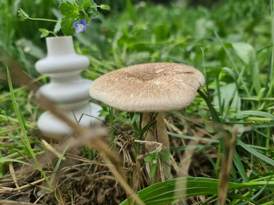 Элементы декора продаются