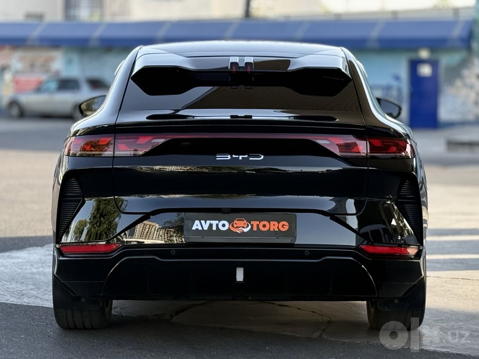 BYD Song L Beyond 2024 год