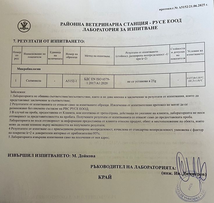 Домашни пъдпъдъчи яйца