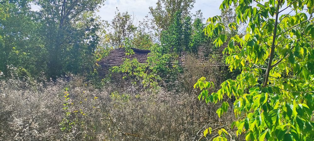 Продава се Парцел в с. Медово, Област Добрич - 2540 кв.м за 2 €/кв.м - Снимка #4