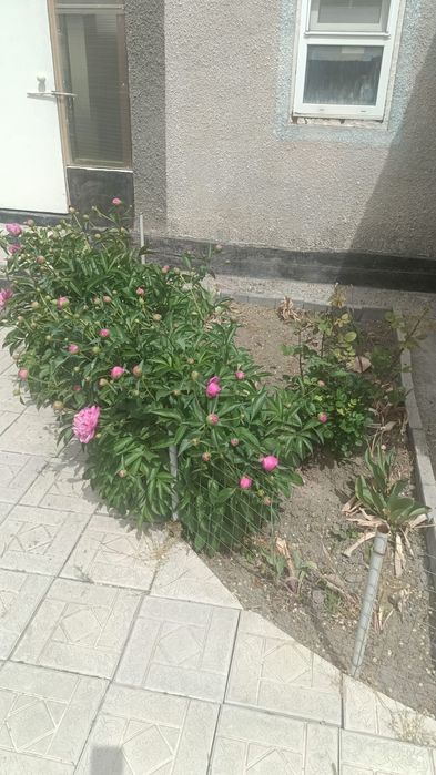 Частный дом, в пригороде
