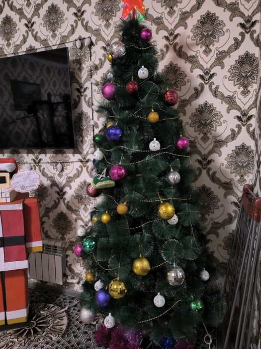 Archa 2.4 metr 240 cm. Narxi 600 ming sum.