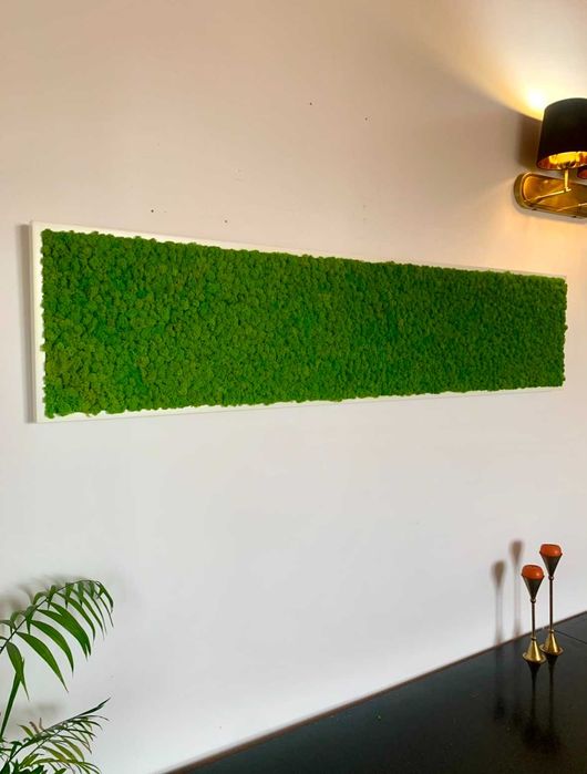 Designuri cu Licheni si muschi decorativi la comanda