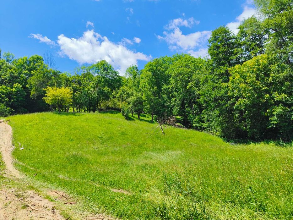 Teren 3.800 mp - Slatina, Nucsoara