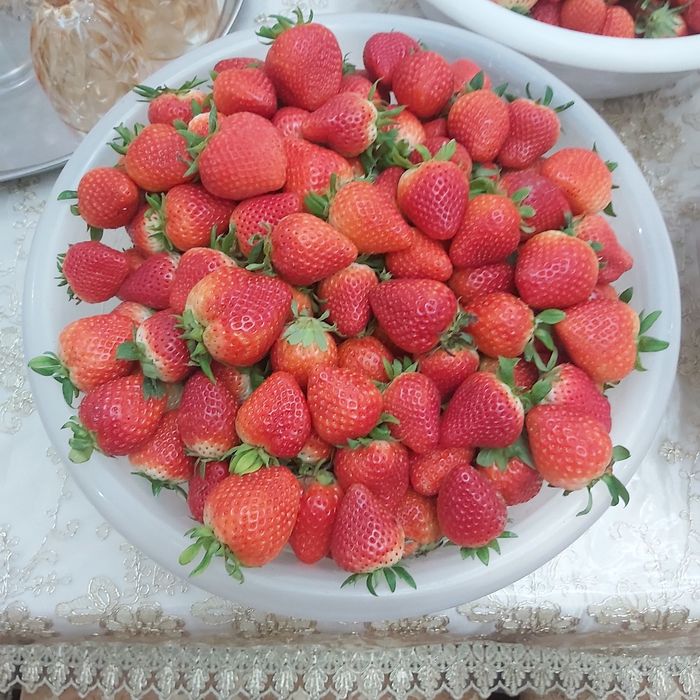 Клубник Корейский солхян