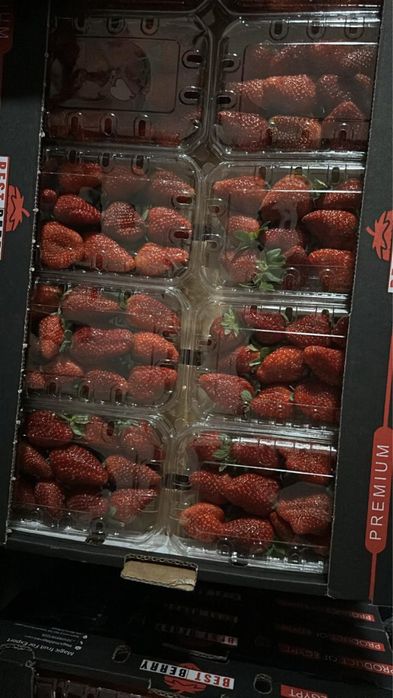 Свежая клубника Египет