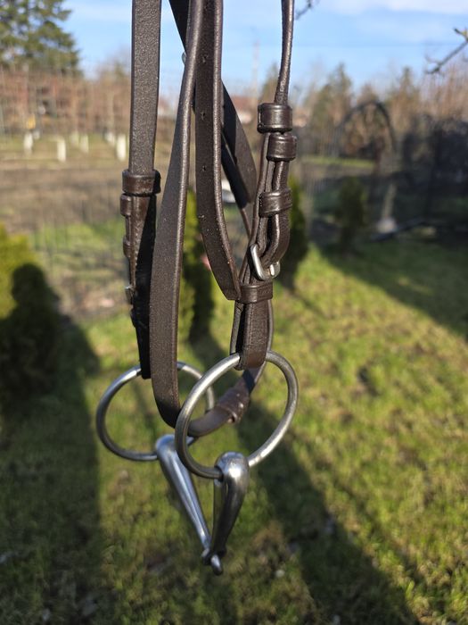 Căpăstru/căpețea călărie