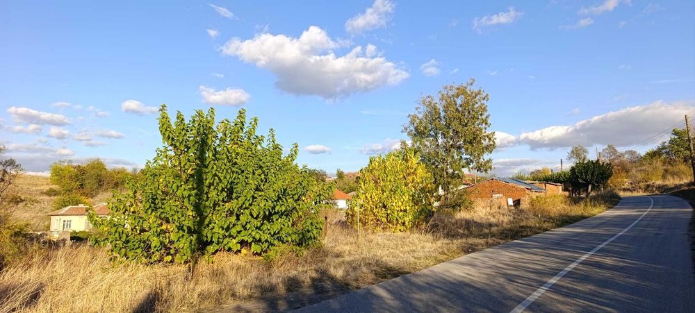 Продава се Къща в с. Йерусалимово, Област Хасково - 80 кв.м за 312 €/кв.м - Снимка #7