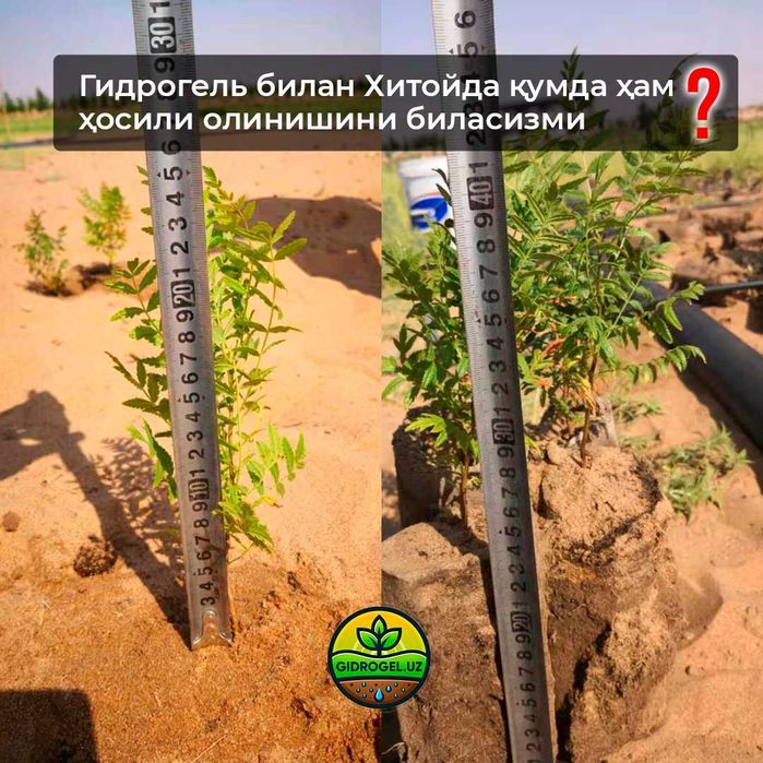 Гидрогель ўсимликлар учун