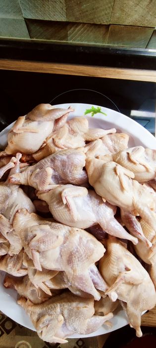 Перепелиная продукция