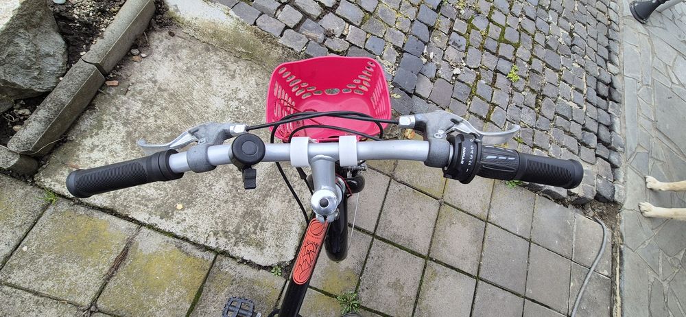 Bicicleta copii 20"  - Riverside