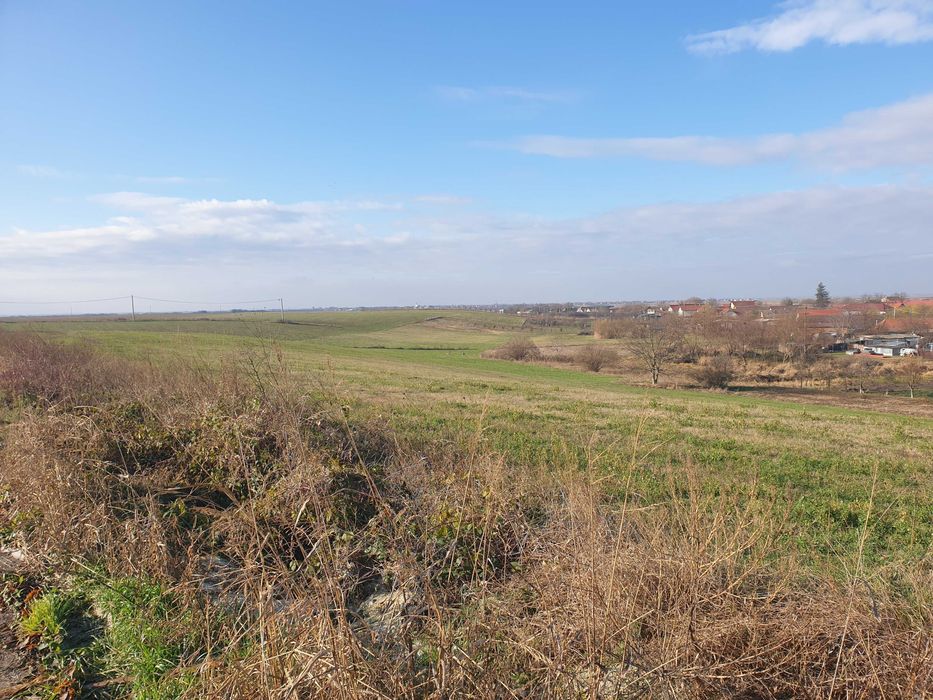 Teren Dudestii Noi - 642 mp