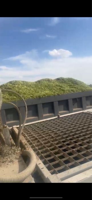 Силос кукурузный, кормовой силос