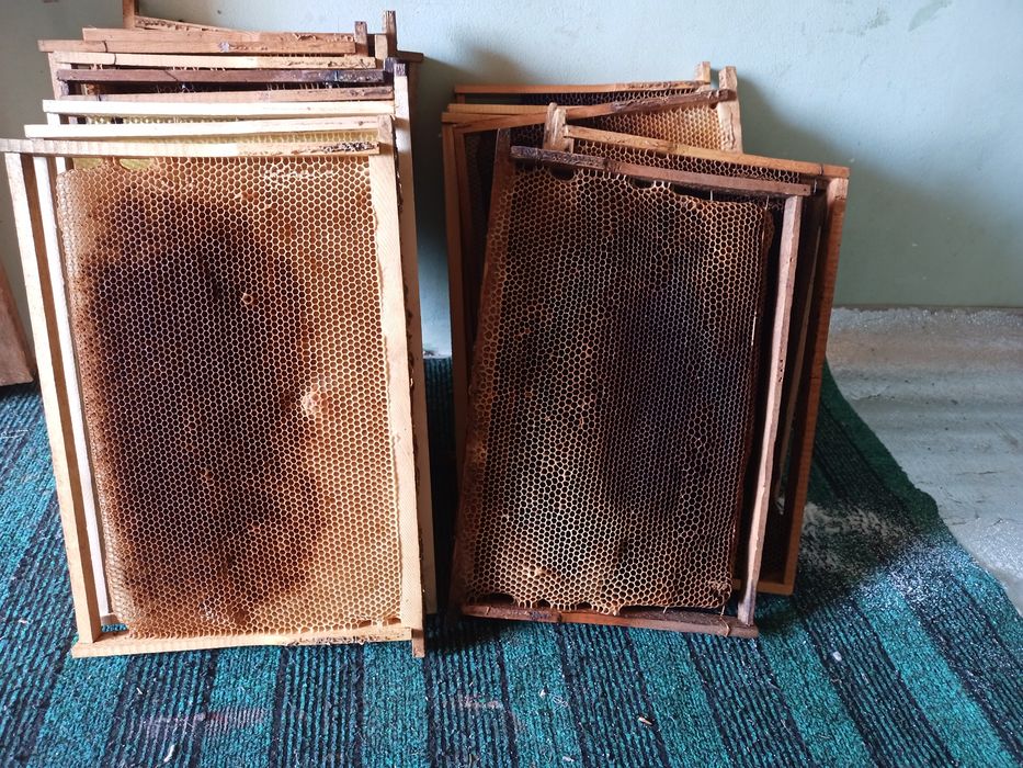 Sush ramka sotiladi. Асалари суш рамкалари сотилади