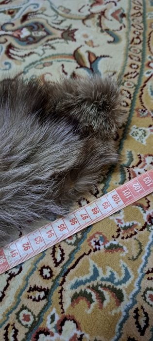 Воротник мех натуральный