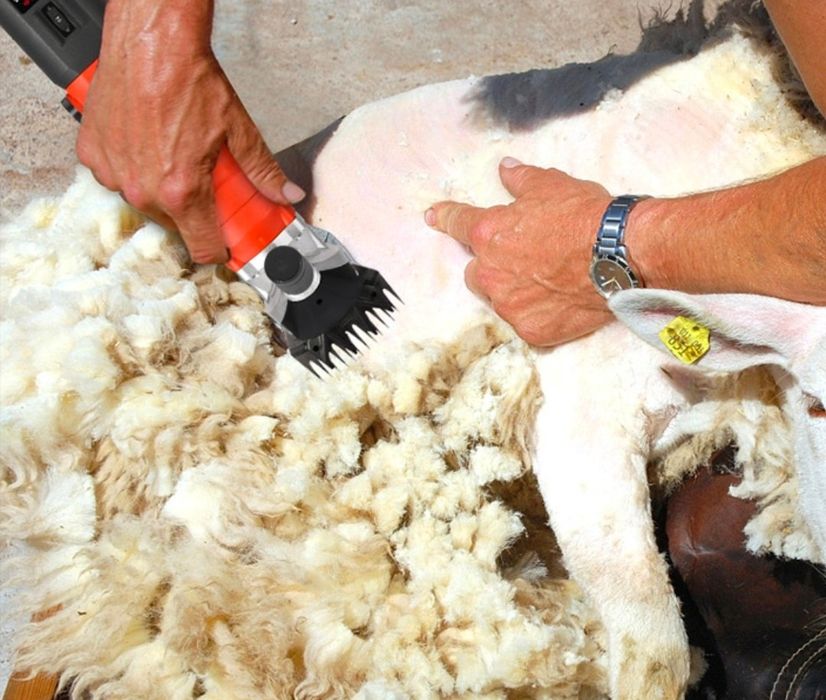 Куй юнгини олиш ва аппаратларни тамирлаш хизматлари