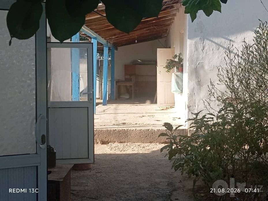 Srochni dalahovli sotiladi arzon narxda