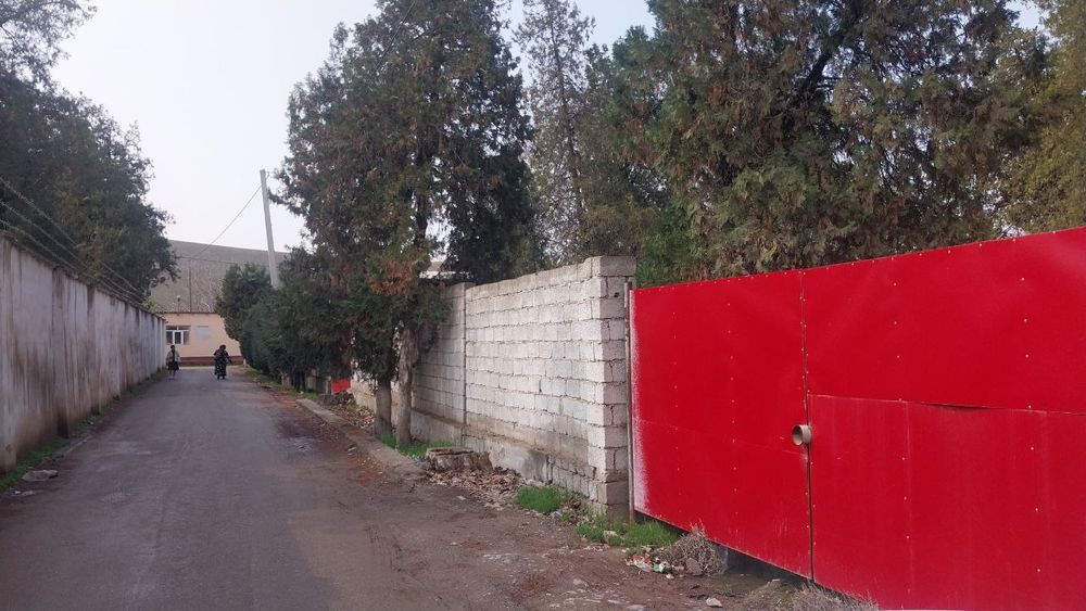 Tadbirkorlik va yashash uchun 10 sutuģ er maydoni va 4 xonali bino