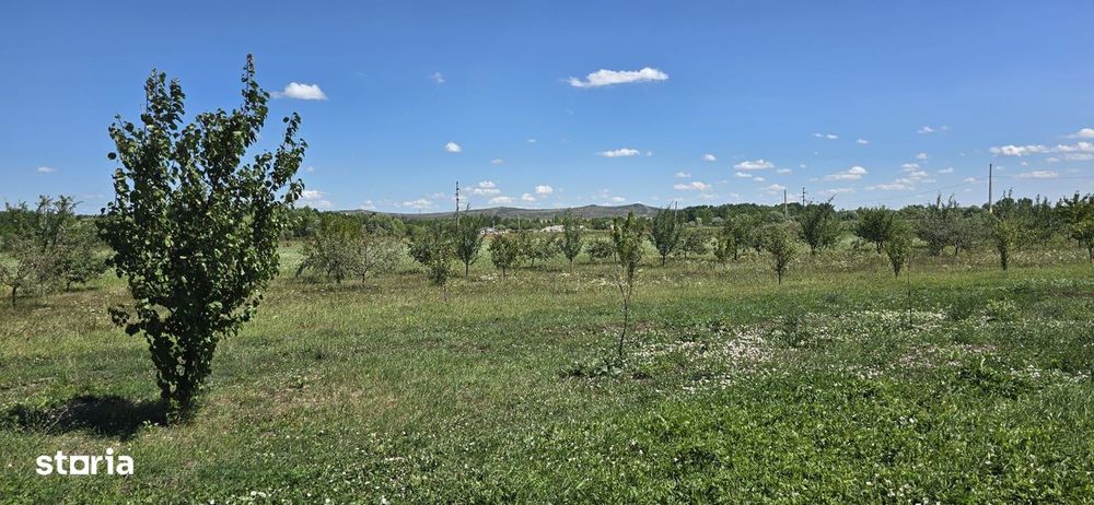 Teren în zona Răscruci – ideal pentru hală, toate utilitățile
