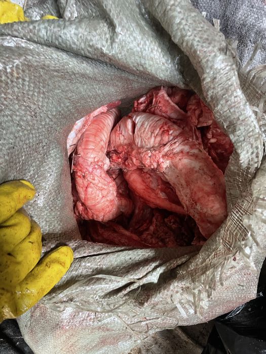 Продам собачий корм иттын тамагы