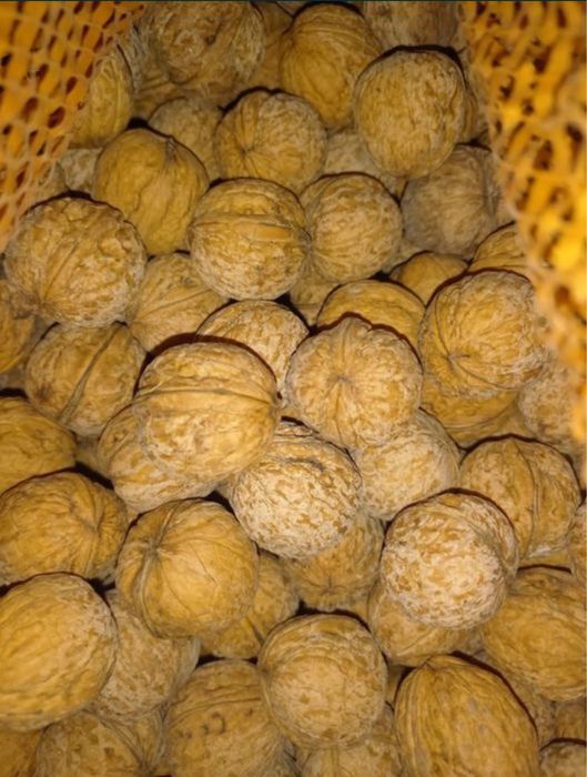 Орехи,плотные внутри и очень вкусные