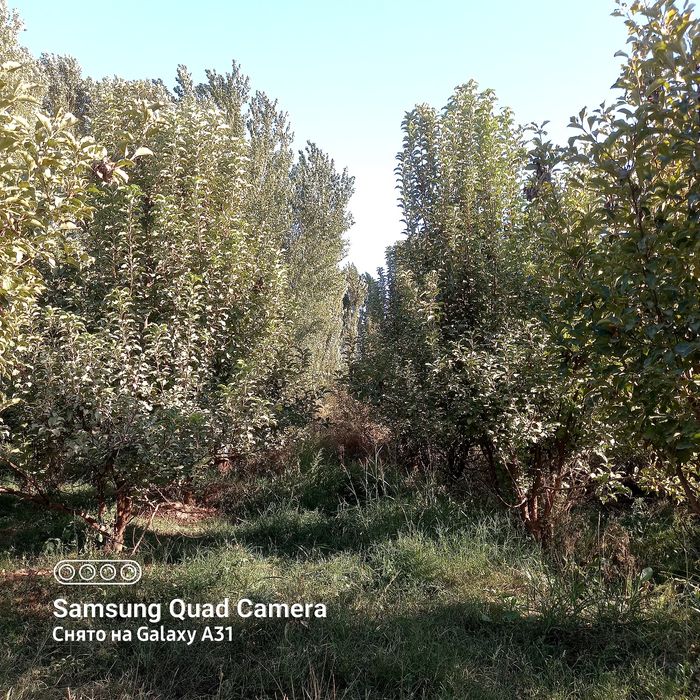 Продажа участок, дом, коровник, участок 27 соток.