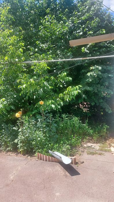 Продам отдельно стоящий дом