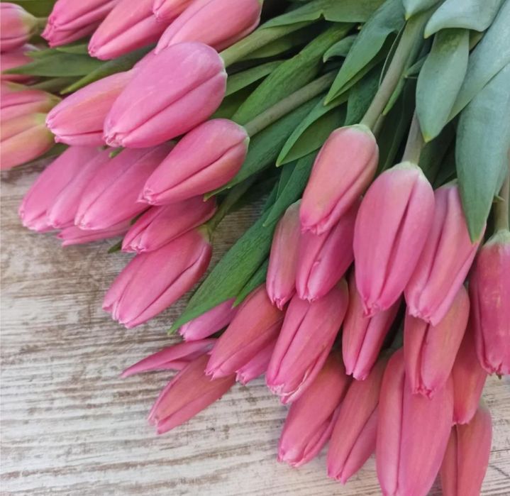 Свежие Тюльпаны для любимых