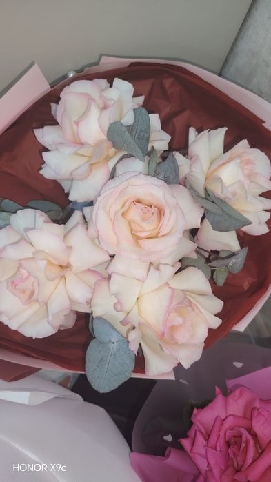 Продам цветы.  Красивые