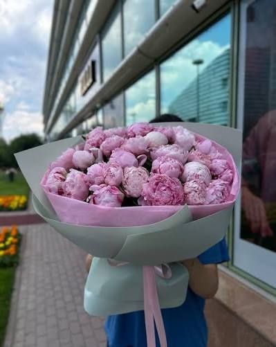 Пионы по супер цене!