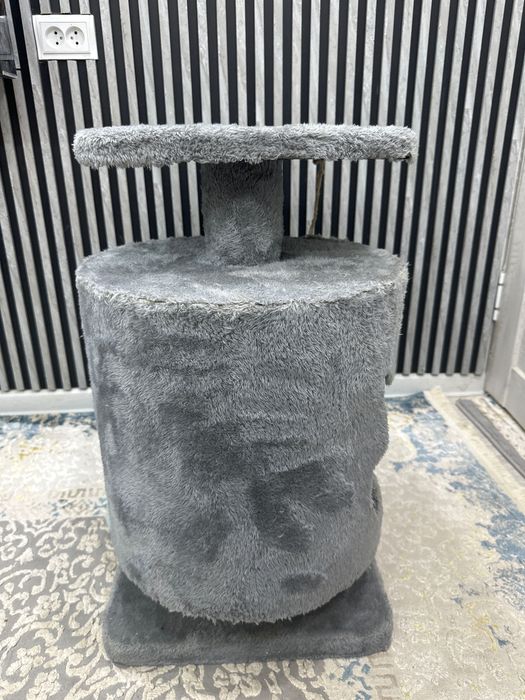 Mushuk uychasi sotiladi