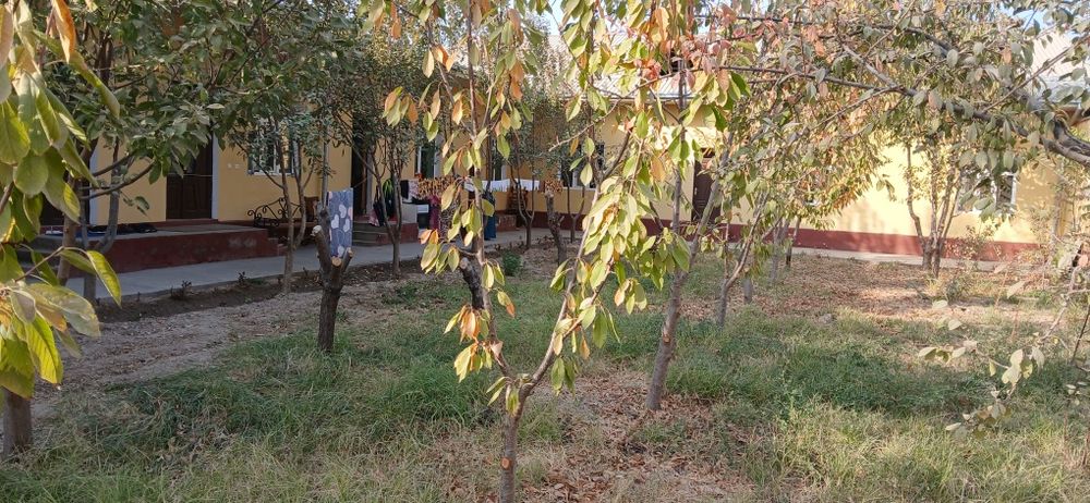 Hovli sotiladi 8 sotix