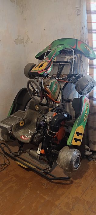 Картинг спортивный