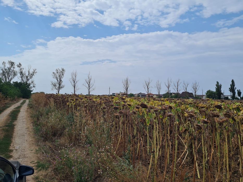 PROPRIETAR! Vânzare Teren - Balotești (lângă lac)