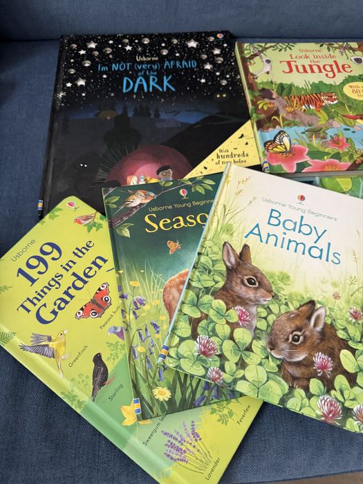 Carti Usborne sunete