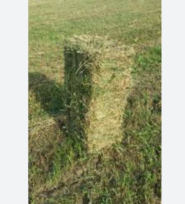 Vind baloți de lucernă