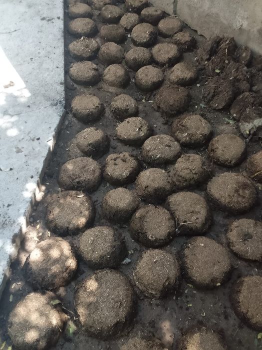 Тезек сатылады құйылған