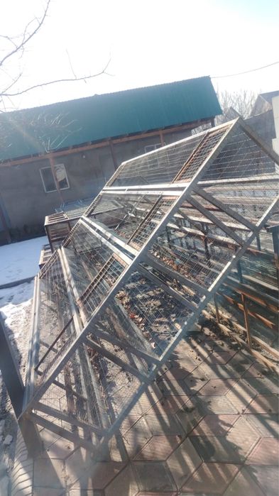 Сеточка для домашних птиц