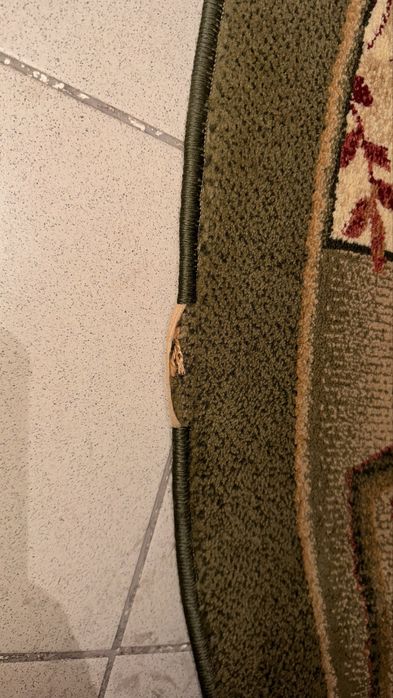 Ковер теплый/огромный